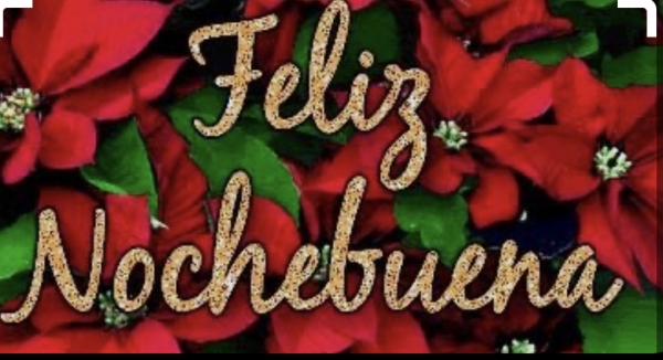 noche buena in United States of America noche buena in United States of America