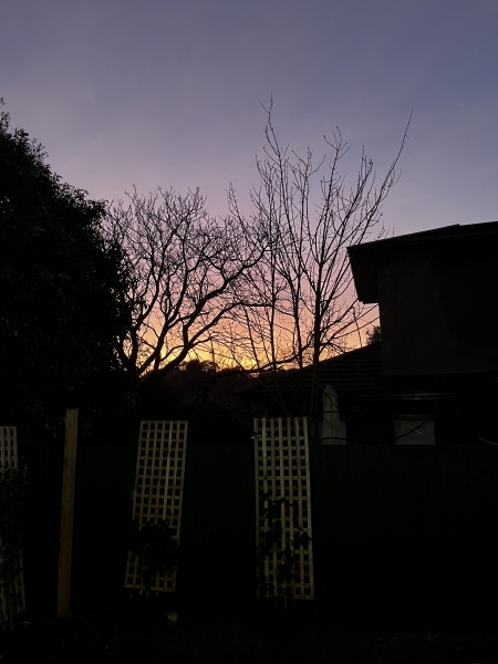 Sunrise In Melbourne In Australia sunrise-in-melbourne-in-australia